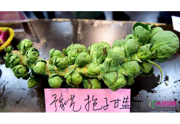 河南农大园艺文化节：萝卜白菜都是水果味！
