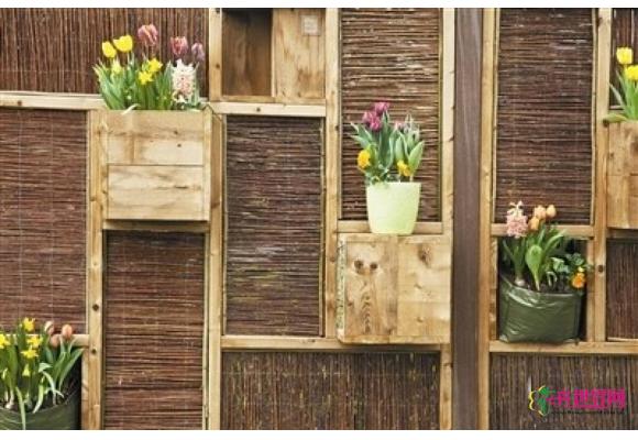 盆栽新玩法 植物爬上墙 