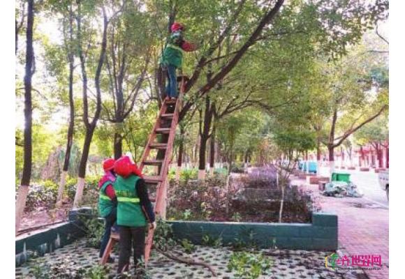 苏州专家“把脉”常德生态园林和绿化建设 苏州专家“把脉”常德生态园林和绿化建设