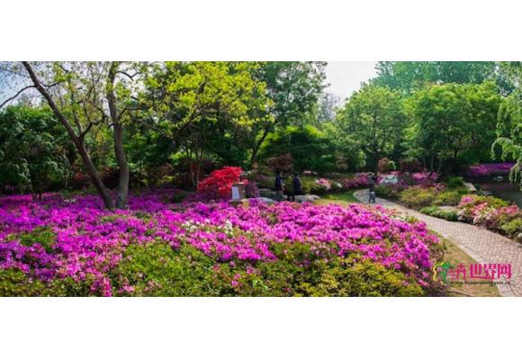 母亲节免费看花展 需证明“你妈是你妈”？