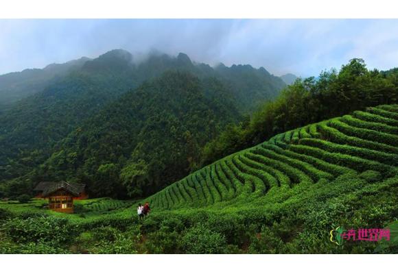 广西:贺州打造全国森林康养基地 2016实现收入过亿 广西:贺州打造全国森林康养基地 2016实现收入过亿