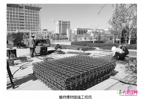 内蒙:后旗植物博物馆预计本月底完工 内蒙:后旗植物博物馆预计本月底完工