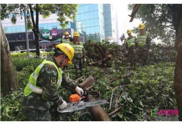 台风“莫兰蒂”致厦门园林绿化遭受重创 台风“莫兰蒂”致厦门园林绿化遭受重创