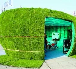 农博会首次推出花卉园艺展 长沙市民大饱眼福