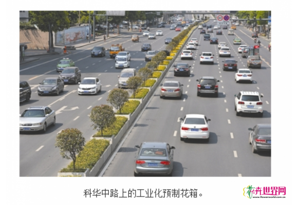 成都：绿化改造 花箱取代隔离栏