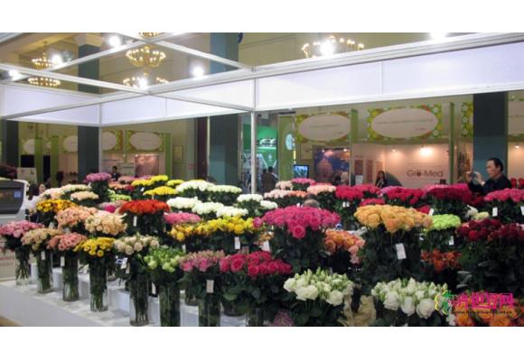 国内外花卉斗艳第十六届中国国际花卉园艺展