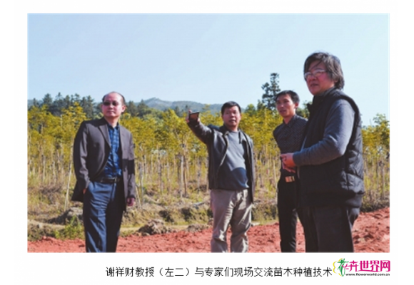 谢祥财教授的“实验田” 谢祥财教授的“实验田”