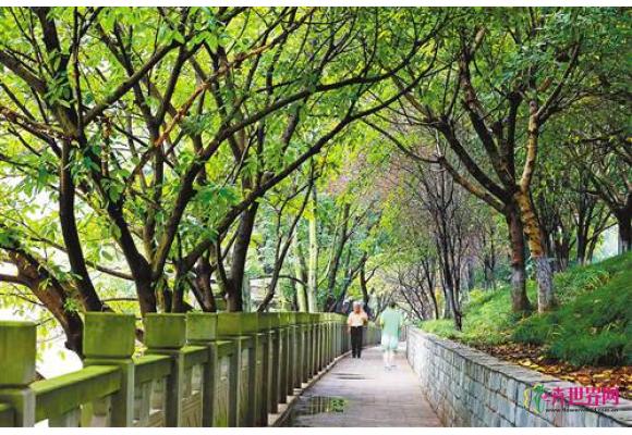 重庆：园林绿化惠市民 滨江长廊好健身