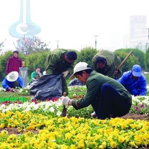 山东：全运花卉造型摆进“大客厅”（图）