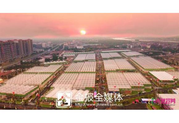 金东花卉苗木展销 进入“园区”时代