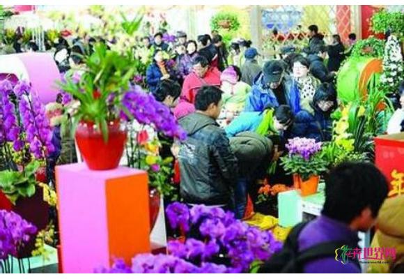 西安将举办年宵花卉展销活动