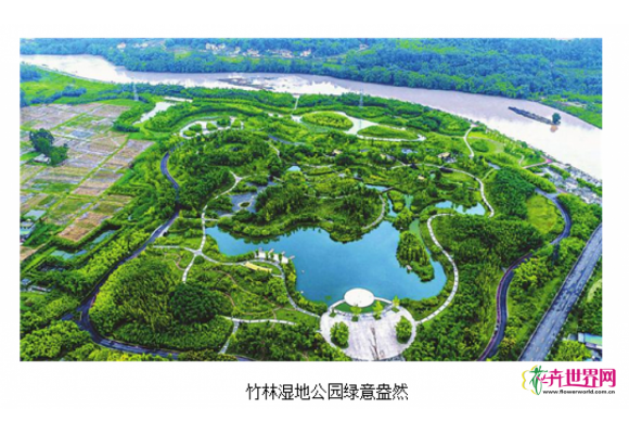 中国首家竹林湿地公园 中国首家竹林湿地公园
