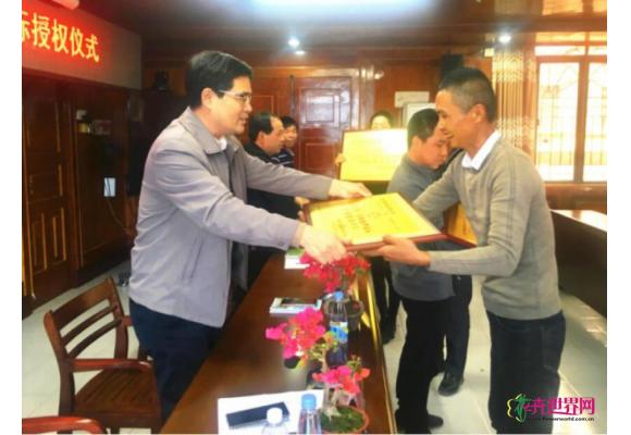 厦门15家生产商获“同安红”三角梅地理性商标授权 厦门15家生产商获“同安红”三角梅地理性商标授权