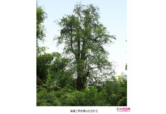 因为不知道这些,已有好多人把自己送进了公安局…… 因为不知道这些,已有好多人把自己送进了公安局……