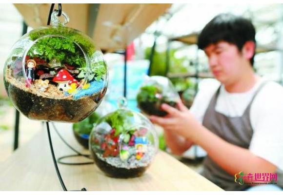 引入创意设计 筑梦“微景观” 引入创意设计 筑梦“微景观”
