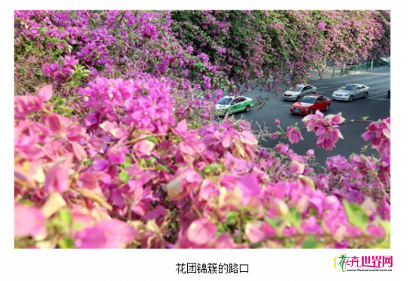 福建泉州“一路一景”见成效