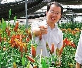 自主研发花卉新品种 云南数量全国居首