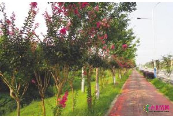 成都：城乡一体景观化 再现“拾彩听香醉临邛”