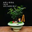 惬意小景紫檀（紫檀）