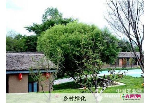 国家林业局启动乡村绿化美化工程 国家林业局启动乡村绿化美化工程