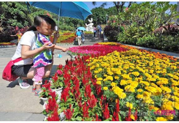 福州：金鸡山公园新增风貌 迎“两节”“一会”