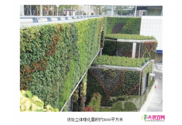 最大面积立体绿化亮相高铁福田站 最大面积立体绿化亮相高铁福田站