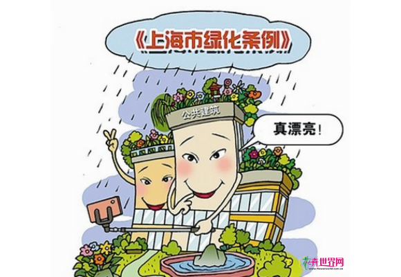 屋顶建花园纳入《上海市绿化条例》