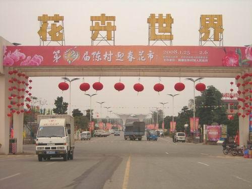 珠江商报：陈村打造中国最大迎春花市