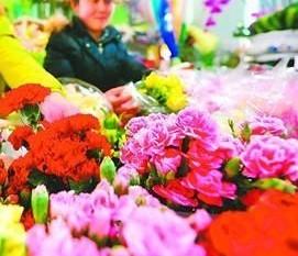 济南：妇女节临近康乃馨、百合等鲜花齐涨价（图）