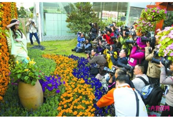 广东:陈村花卉发展助现“广佛都市圈城央花园” 广东:陈村花卉发展助现“广佛都市圈城央花园”