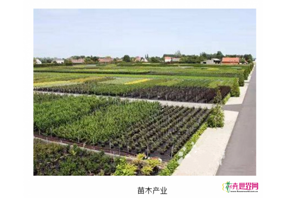 浙江:萧山做好亚运区块苗木工作 浙江:萧山做好亚运区块苗木工作