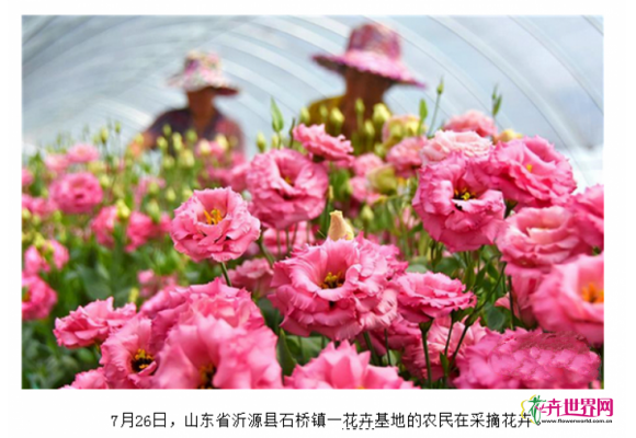 山东沂源:“出口经济”助深山农产品销海外 山东沂源:“出口经济”助深山农产品销海外