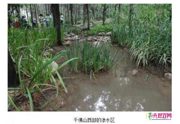济南海绵城市工程 能带来哪些好处? 济南海绵城市工程 能带来哪些好处?