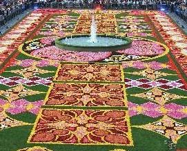 布鲁塞尔：总占地约2000平方米的鲜花地毯亮相 