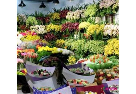 上海年宵花今年不涨价 节俭成风销量同比降两成