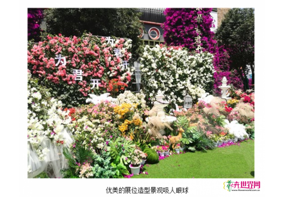 走进苗乡昆明宜良花街 探云南苗木花卉产业发展风向