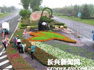 浙江：20多万盆鲜花扮靓“盛节”（图）