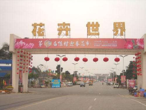 佛山日报：陈村迎春花市明日迎客