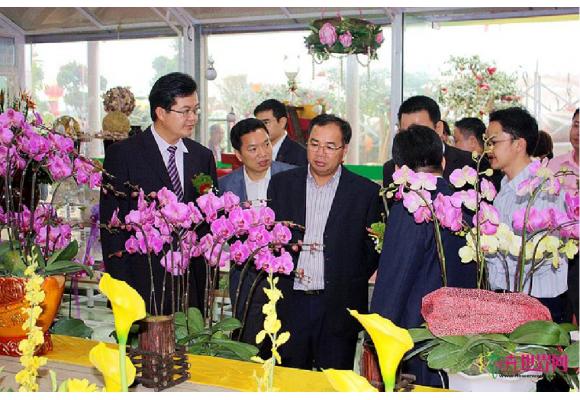 领导前来指导工作