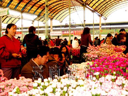 斗南花卉市场2007年10月31日报价