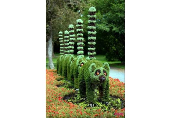 加拿大蒙特利尔植物园国际立体花坛展 多精品亮相