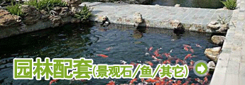 栏目介绍 -石头