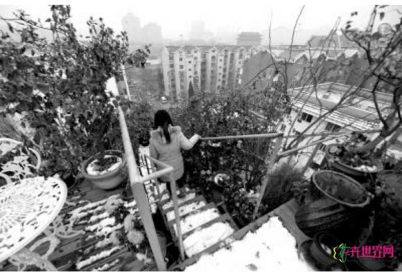 “空中花园”不同命运乱象折射监管缺位