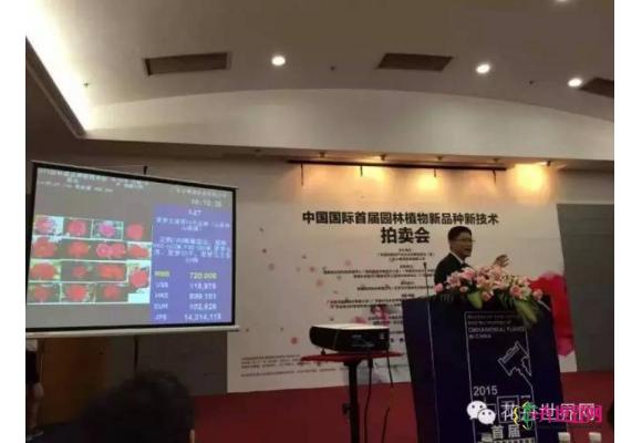 2016拍品征集令：园林植物新优品种你有吗？