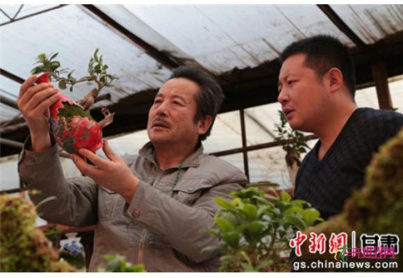 甘肃平凉：“盆景父子”变废为宝打造“艺瓷盆景”