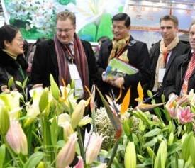 江苏举办年宵花卉展示展销会