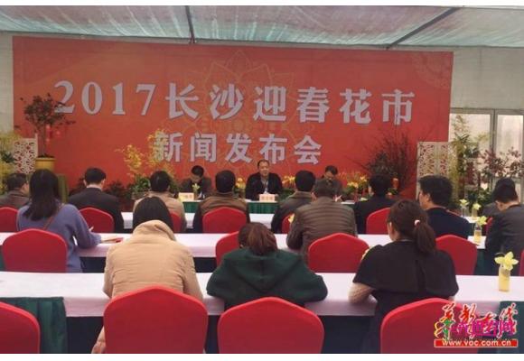 2017长沙“迎春花市”周末开市 500余个花卉品种供您挑选