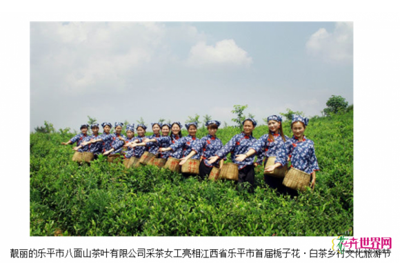 2017乐平市首届栀子花 白茶乡村文化旅游节开幕