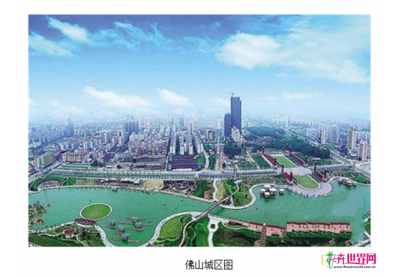 佛山年内有望跻身“国家森林城市”行列 佛山年内有望跻身“国家森林城市”行列