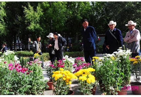 拉萨鲜花市场一片繁荣